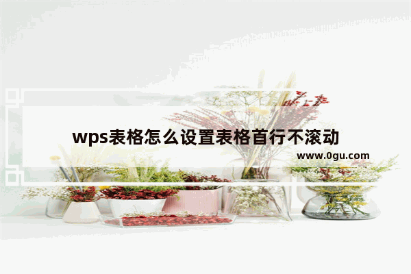 wps表格怎么设置表格首行不滚动