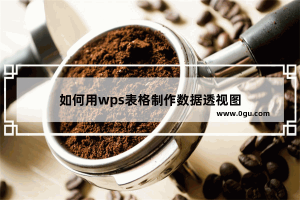 如何用wps表格制作数据透视图