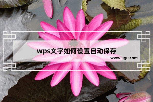 wps文字如何设置自动保存