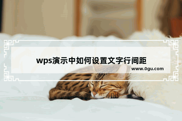 wps演示中如何设置文字行间距