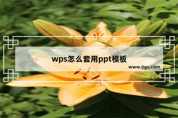 wps怎么套用ppt模板