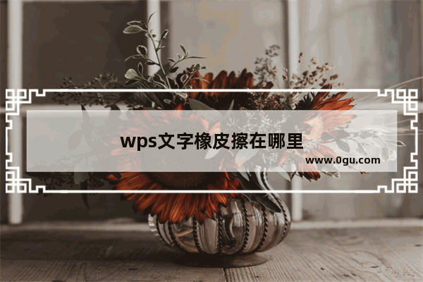 wps文字橡皮擦在哪里