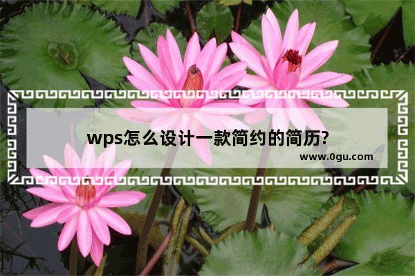 wps怎么设计一款简约的简历?