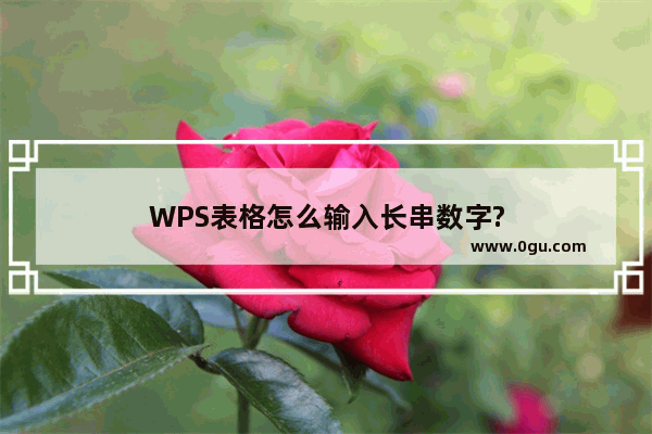 WPS表格怎么输入长串数字?