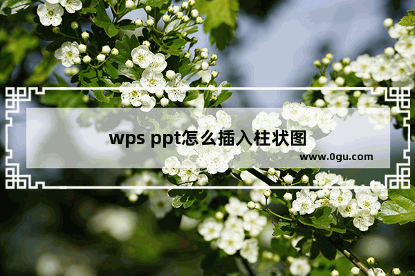 wps ppt怎么插入柱状图