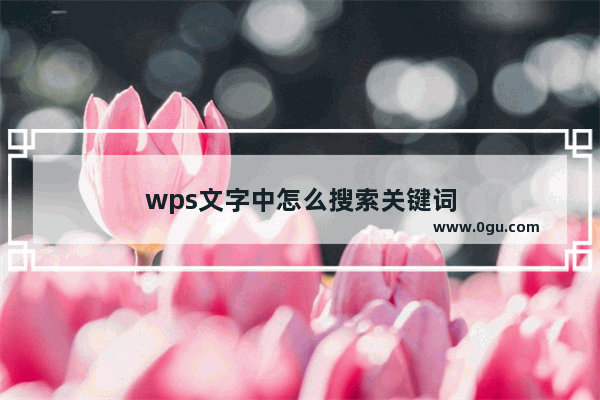 wps文字中怎么搜索关键词