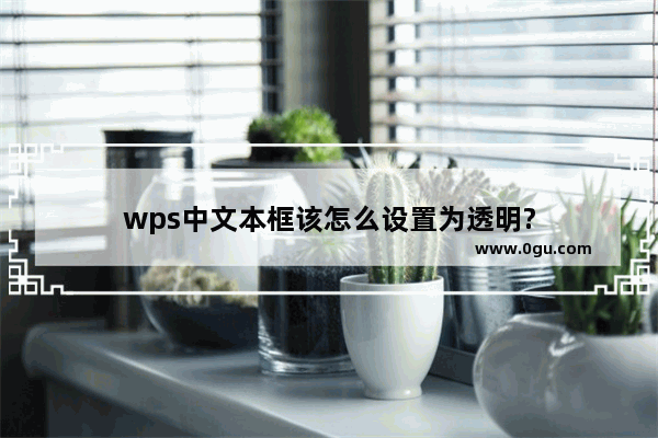 wps中文本框该怎么设置为透明?