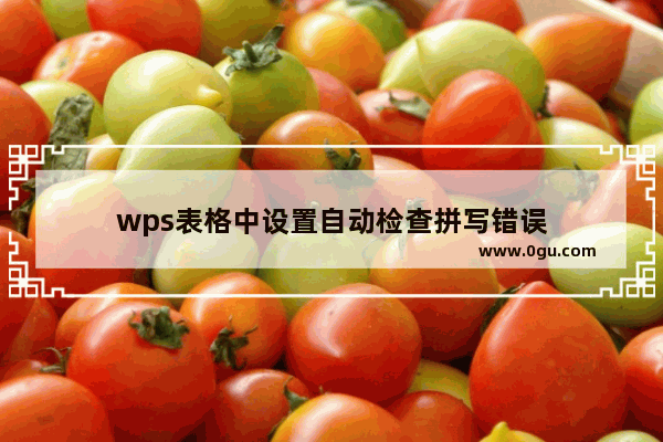 wps表格中设置自动检查拼写错误