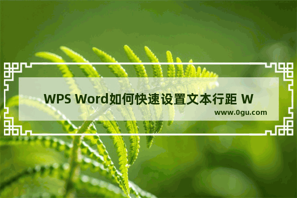 WPS Word如何快速设置文本行距 WPS Word快速设置文本行距的方法