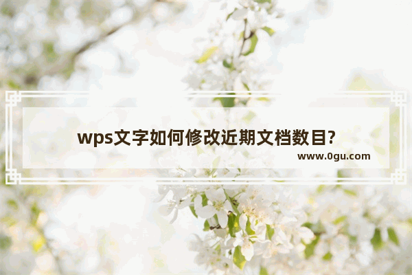 wps文字如何修改近期文档数目?