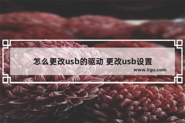 怎么更改usb的驱动 更改usb设置