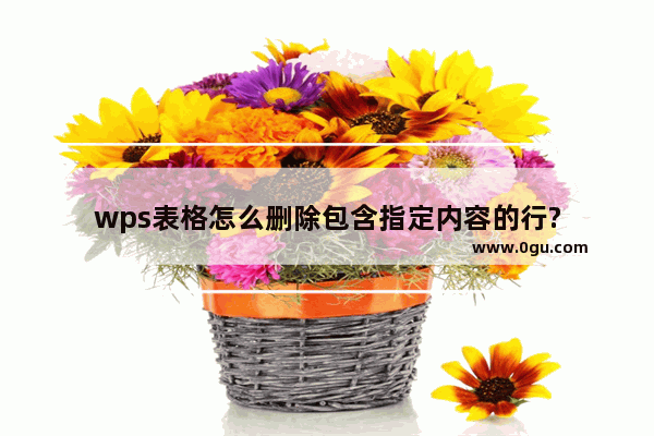 wps表格怎么删除包含指定内容的行?