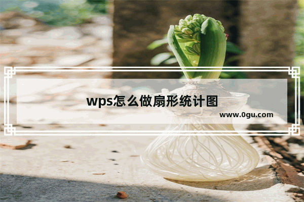 wps怎么做扇形统计图