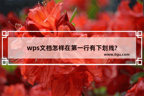 wps文档怎样在第一行有下划线?