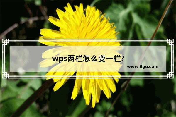 wps两栏怎么变一栏?