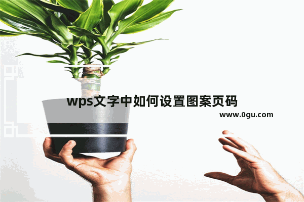 wps文字中如何设置图案页码