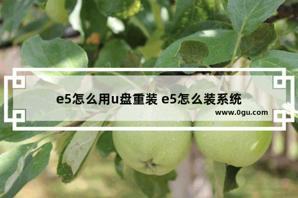 e5怎么用u盘重装 e5怎么装系统