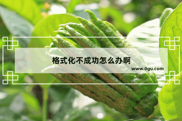 格式化不成功怎么办啊