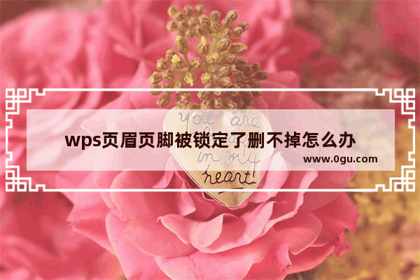 wps页眉页脚被锁定了删不掉怎么办