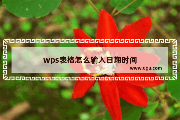 wps表格怎么输入日期时间