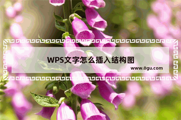 WPS文字怎么插入结构图