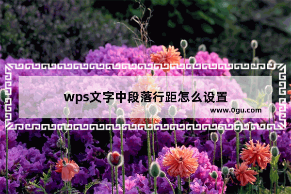 wps文字中段落行距怎么设置