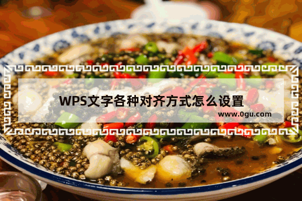 WPS文字各种对齐方式怎么设置