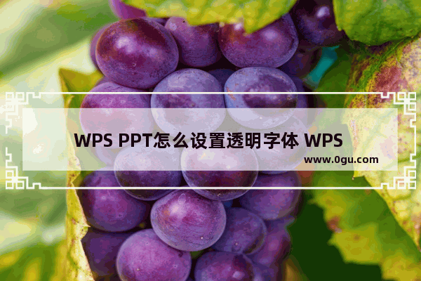 WPS PPT怎么设置透明字体 WPS PPT中设置透明字体的方法