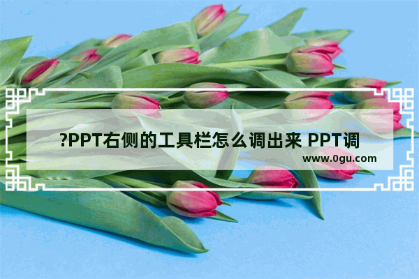 ?PPT右侧的工具栏怎么调出来 PPT调出右边的工具栏的方法教程