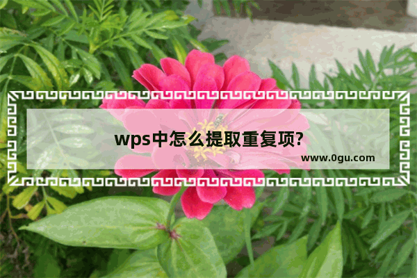 wps中怎么提取重复项?