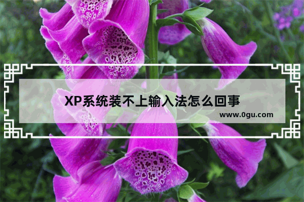 XP系统装不上输入法怎么回事