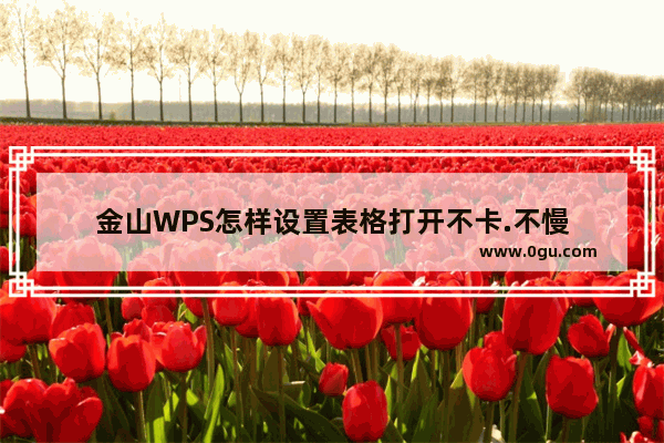 金山WPS怎样设置表格打开不卡.不慢