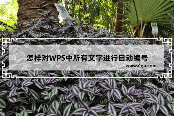 怎样对WPS中所有文字进行自动编号