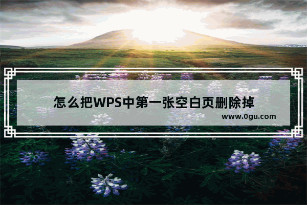 怎么把WPS中第一张空白页删除掉