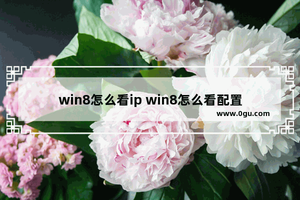 win8怎么看ip win8怎么看配置