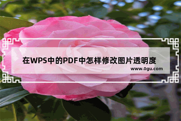 在WPS中的PDF中怎样修改图片透明度 WPS PDF中设置图片透明度的方法