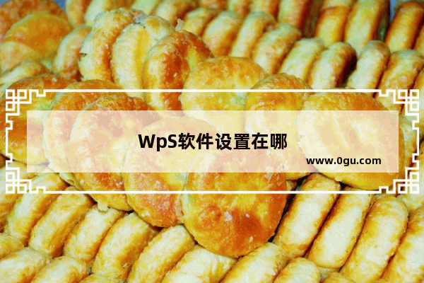 WpS软件设置在哪