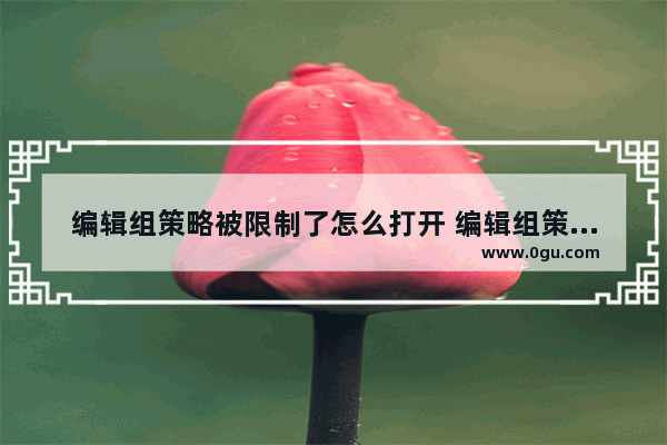 编辑组策略被限制了怎么打开 编辑组策略命令