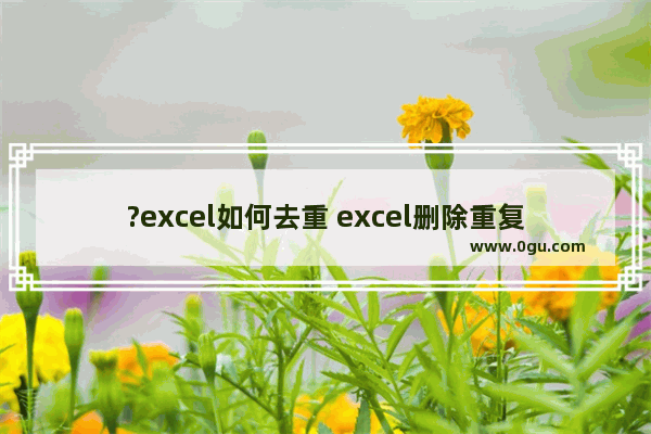 ?excel如何去重 excel删除重复项的方法