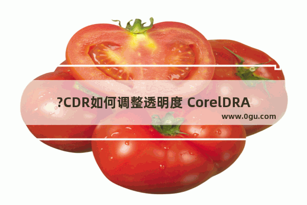 ?CDR如何调整透明度 CorelDRAW调整透明度的方法