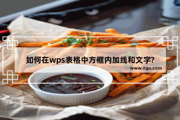 如何在wps表格中方框内加线和文字?