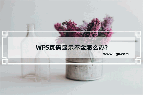 WPS页码显示不全怎么办?