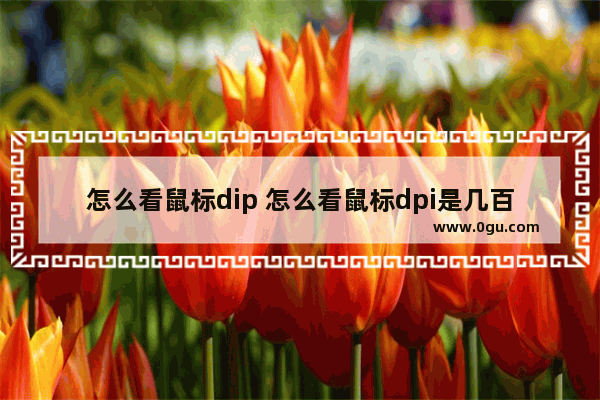 怎么看鼠标dip 怎么看鼠标dpi是几百