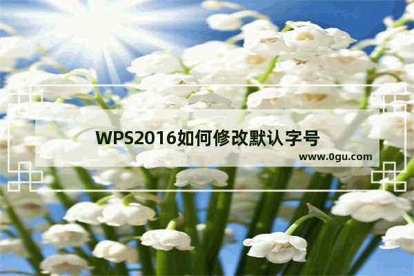 WPS2016如何修改默认字号