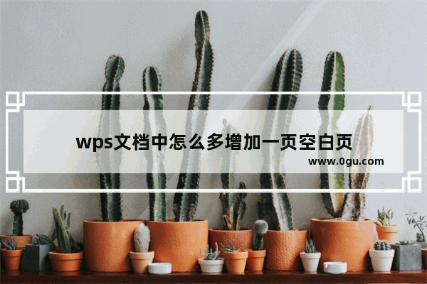 wps文档中怎么多增加一页空白页