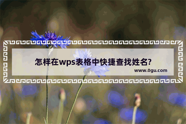 怎样在wps表格中快捷查找姓名?