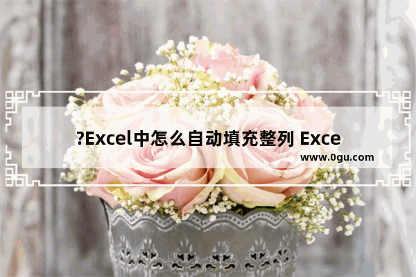 ?Excel中怎么自动填充整列 Excel表格填充一整列的方法教程