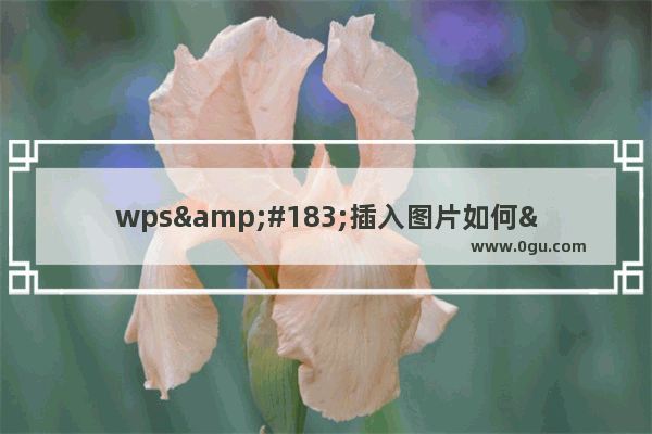 wps&#183;插入图片如何&quot;设置对象格式&quot;与实际图片尺寸相一致?