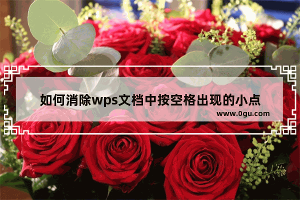 如何消除wps文档中按空格出现的小点