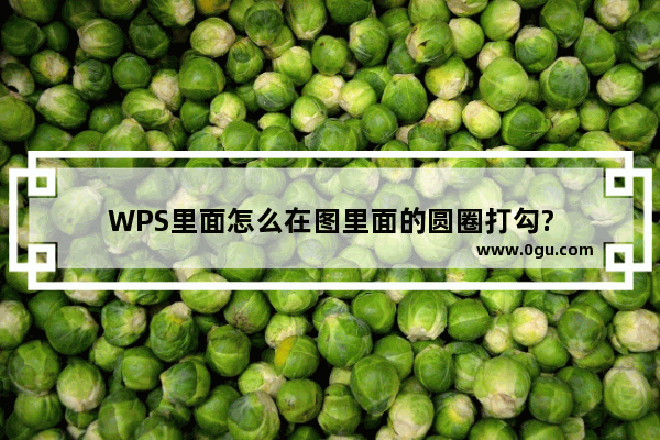 WPS里面怎么在图里面的圆圈打勾?